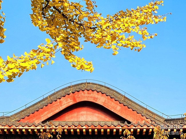 【生活里的光】唯美西普陀