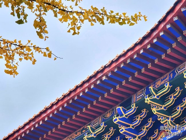 【生活里的光】唯美西普陀