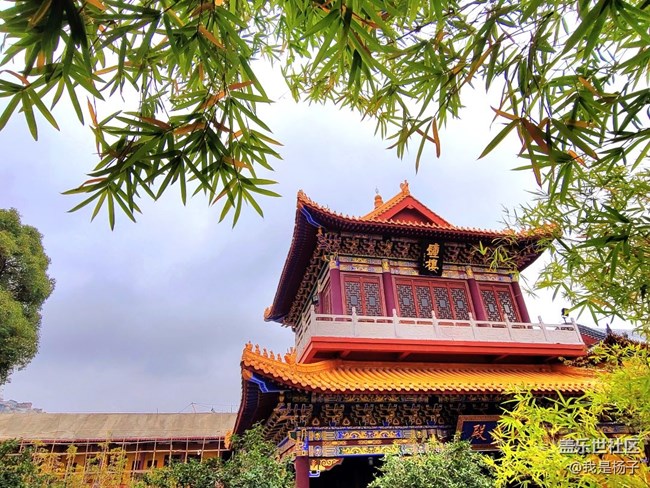 【生活里的光】唯美西普陀