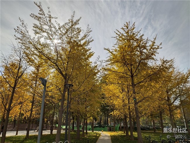 【晚秋】一葉知秋重