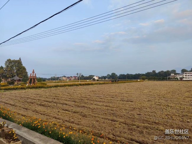 【晚秋】豐收以后