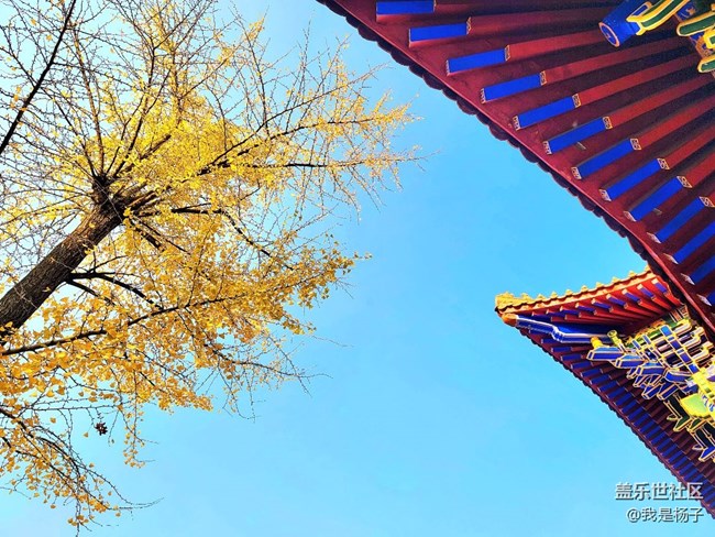 【生活里的光】唯美西普陀