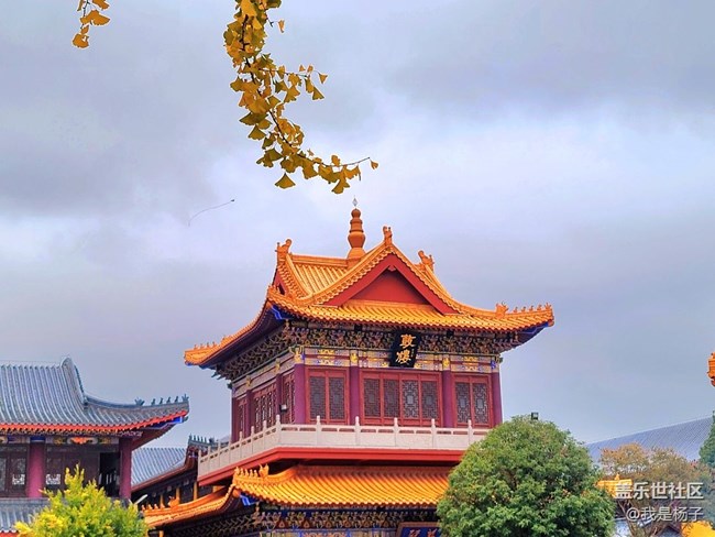 【生活里的光】唯美西普陀