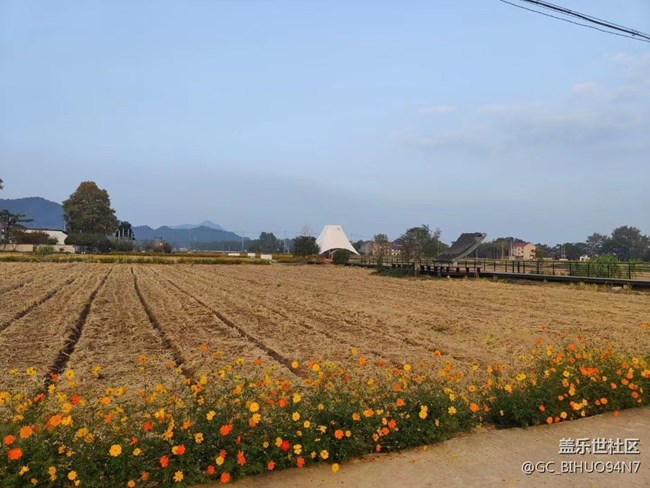 【晚秋】豐收以后