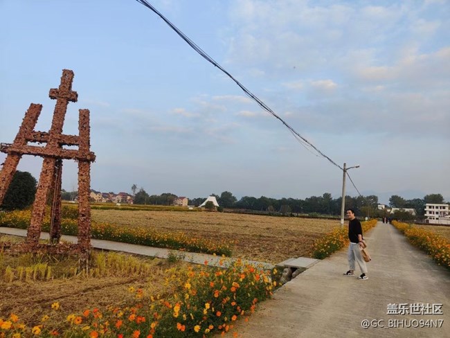 【晚秋】豐收以后