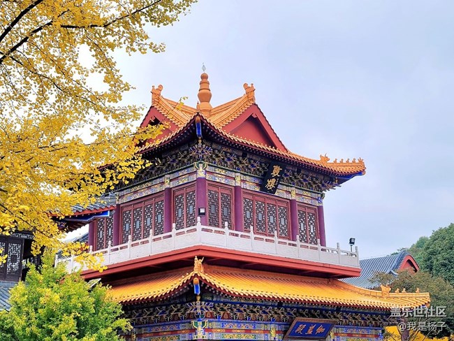 【生活里的光】唯美西普陀