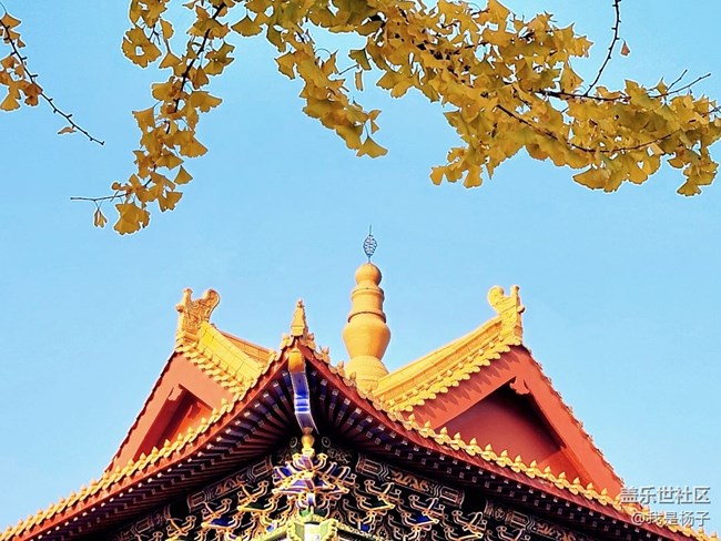 【生活里的光】唯美西普陀