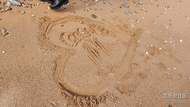 【海濱的“折”學(xué)影像】“折”之龍回頭