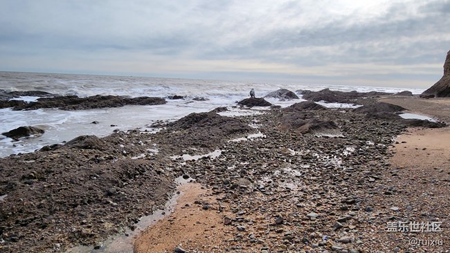【海濱的“折”學(xué)影像】“折”之龍回頭