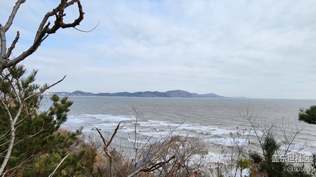 【海濱的“折”學(xué)影像】“折”之龍回頭