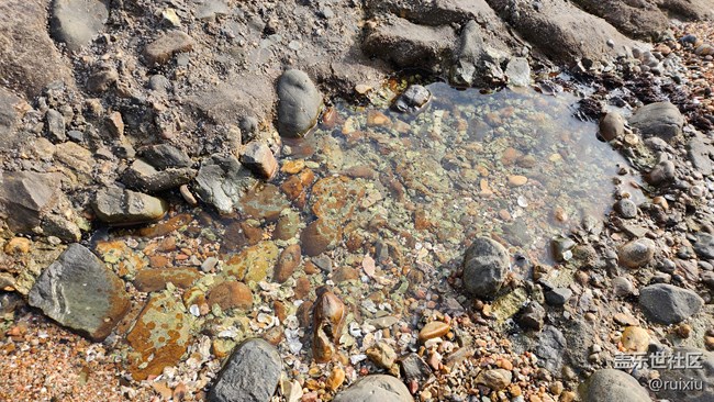 【海濱的“折”學(xué)影像】“折”之龍回頭