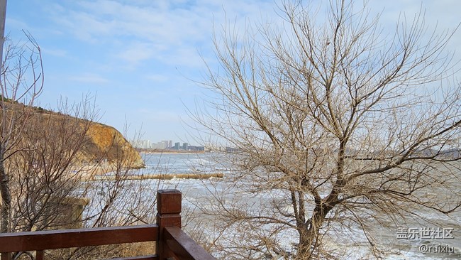 【海濱的“折”學(xué)影像】“折”之龍回頭