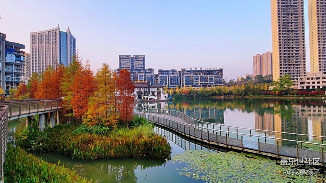 【生活里的光】+小公園的風(fēng)景