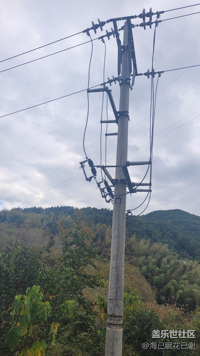 #靜物寫真——電線桿子