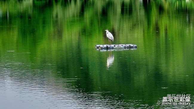 《每周星鮮事》 第127期: