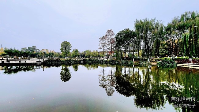 【生活里的光】+小公園的風(fēng)景