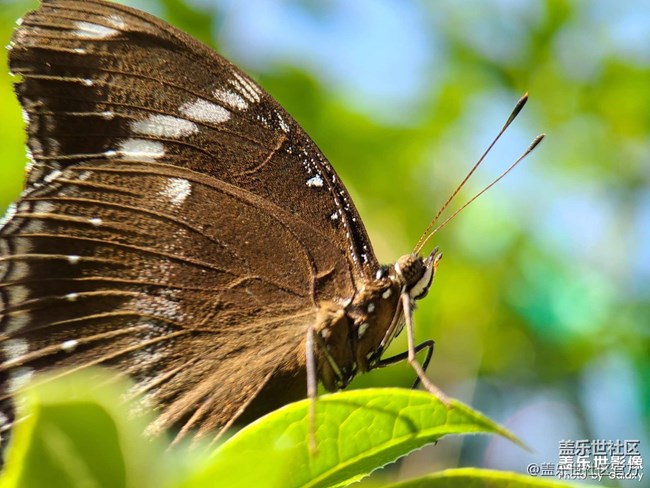 《每周星鮮事》 第127期: