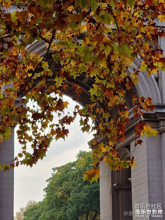 《每周星鮮事》 第127期: