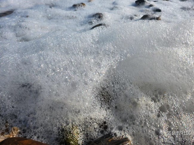 【東北大區(qū)活動】興城古城及龍回頭海濱"折"學(xué)之旅回顧（下）