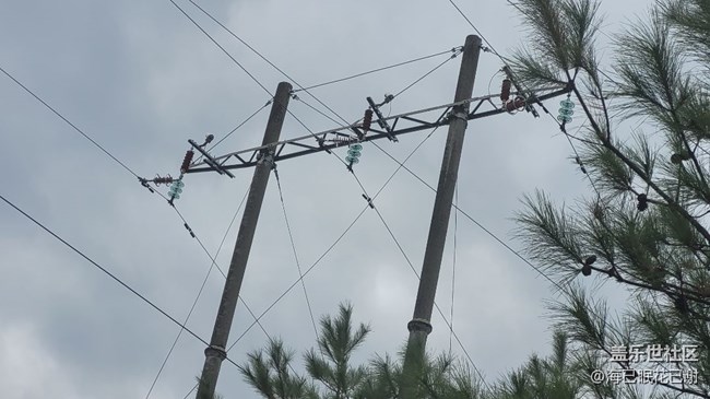 #靜物寫真——電線桿子