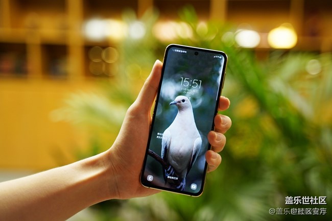 《每周星鮮事》 第127期: