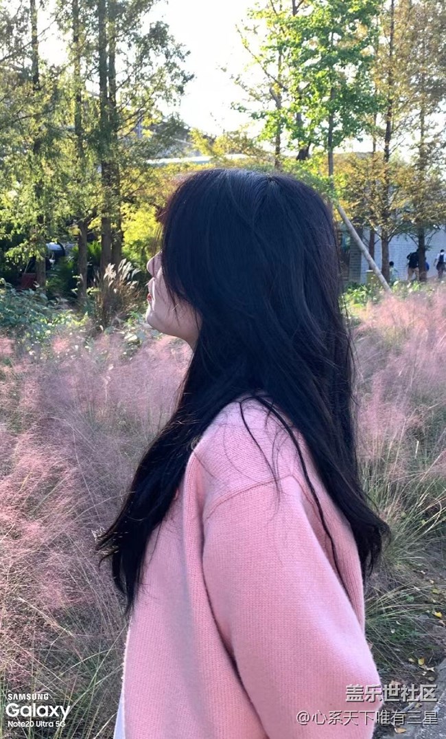 【微距里的景色】深秋賞菊之寧波植物園