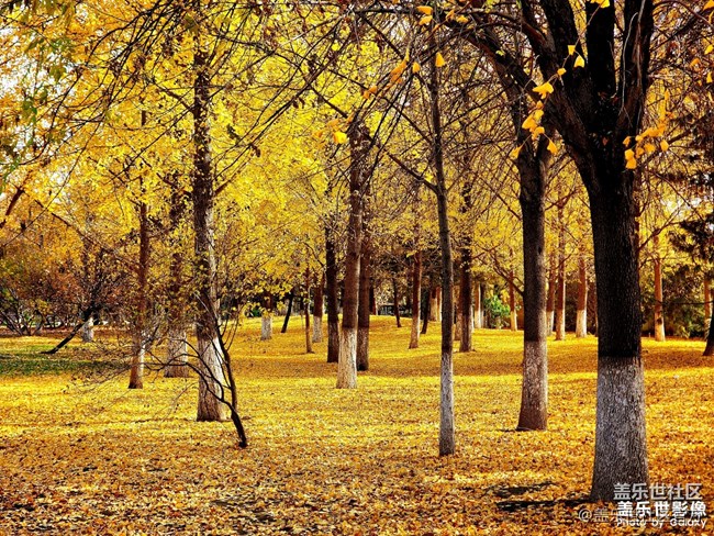 《每周星鮮事》 第127期: