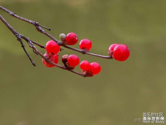 《每周星鮮事》 第127期: