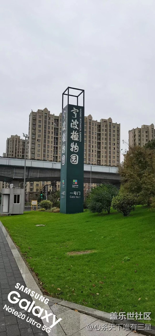 【微距里的景色】深秋賞菊之寧波植物園