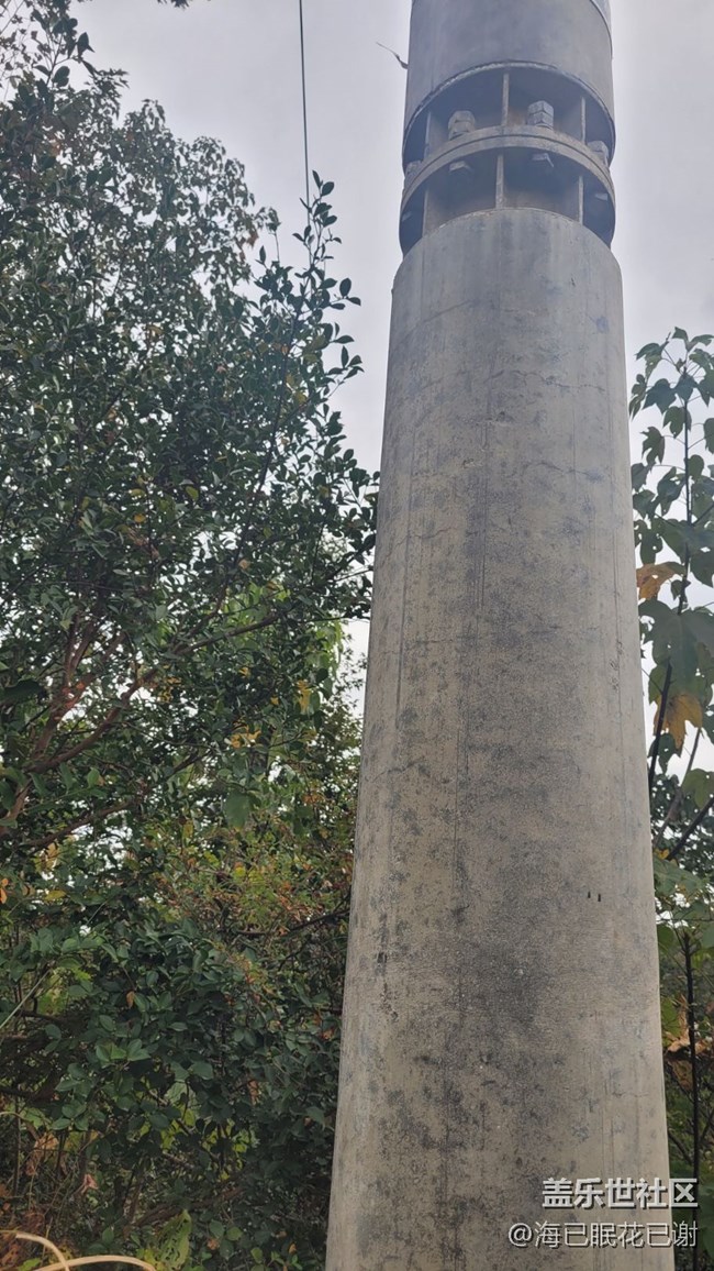 #靜物寫真——電線桿子