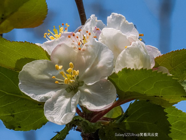 《每周星鮮事》 第127期: