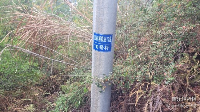 #靜物寫真——電線桿子