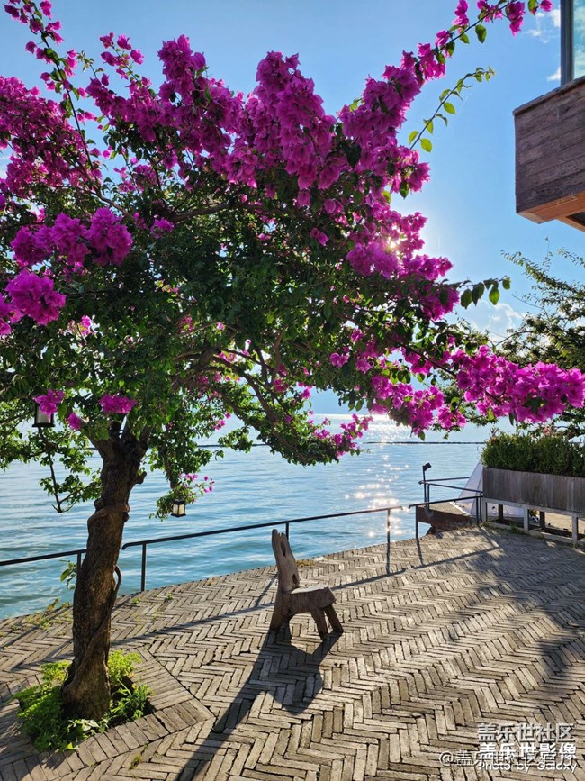 《每周星鮮事》 第127期: