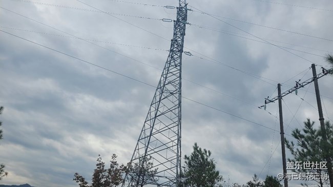 #靜物寫真——電線桿子