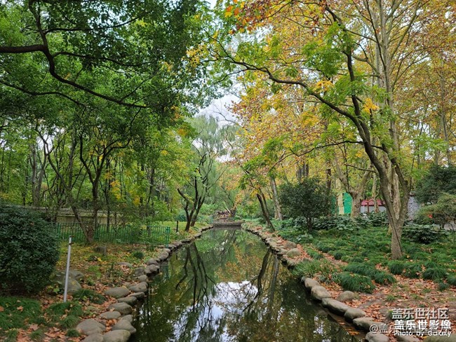 《每周星鮮事》 第127期: