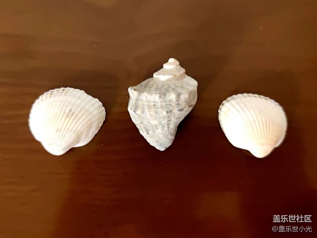 【東北大區(qū)活動】興城古城及龍回頭海濱"折"學(xué)之旅回顧（下）