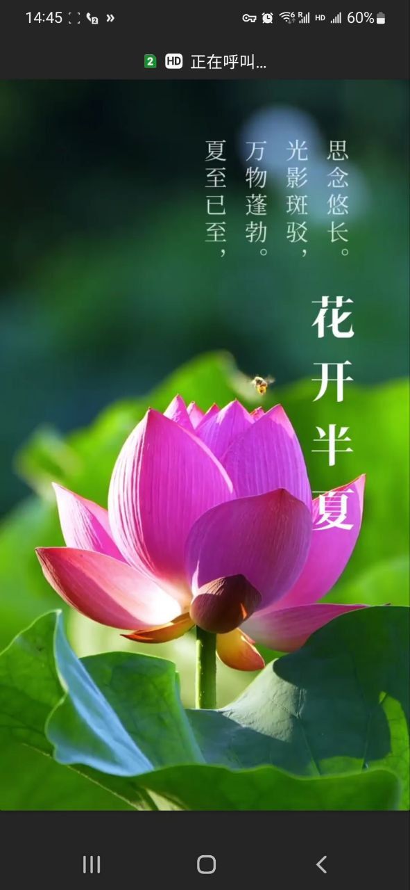 通話背景如何禁用