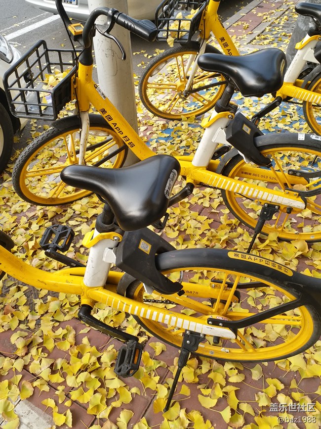 【晚秋】告別2022