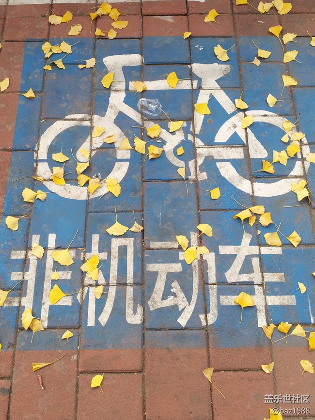 【晚秋】告別2022