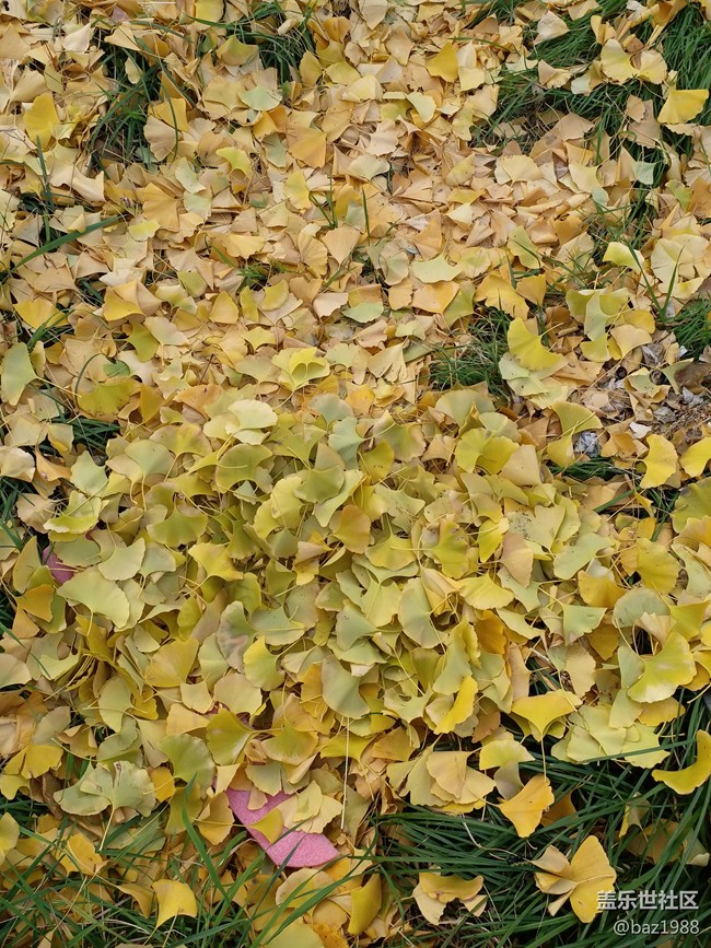 【晚秋】告別2022