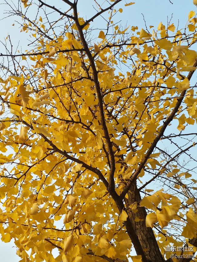 【晚秋】告別2022