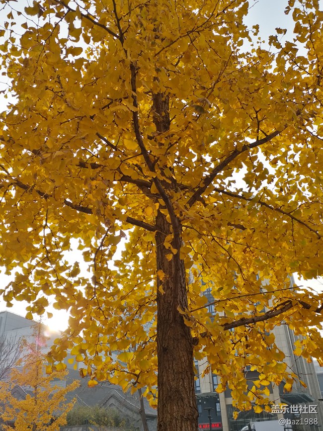 【晚秋】告別2022