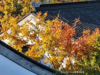 Galaxy S22Ultra   庭院深秋