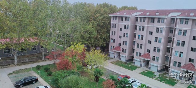 【晚秋】小區(qū)景色