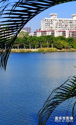 【生活的色彩】深藍