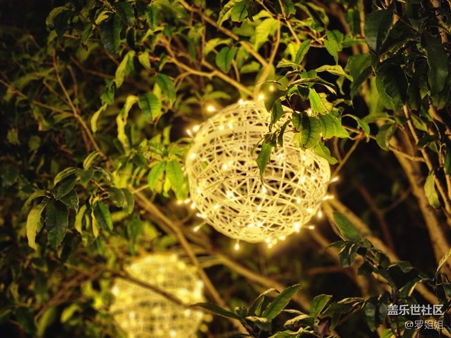 #靜物寫(xiě)真——夜燈
