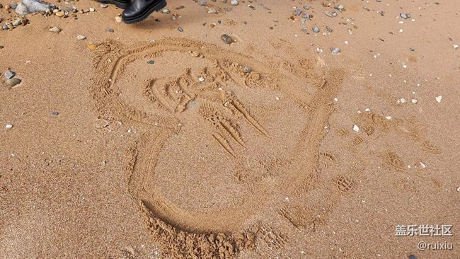 “折”學(xué)之旅回顧貼中