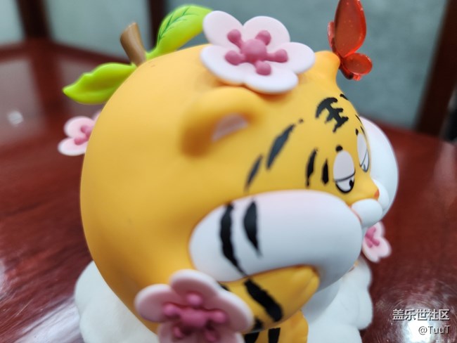 #靜物寫真——小腦虎