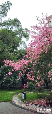 繼續(xù)拍，越來越好