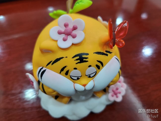 #靜物寫真——小腦虎